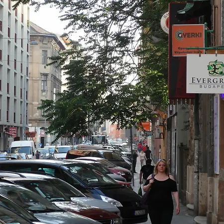 Evergreen Budapest